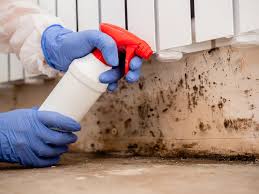 Best HVAC Mold Inspection and Cleaning in Belleville, PA